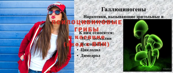 мескалин Белокуриха