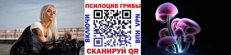 кракен вход  мориарти формула  Псилоцибиновые грибы Psilocybe  Кудрово 